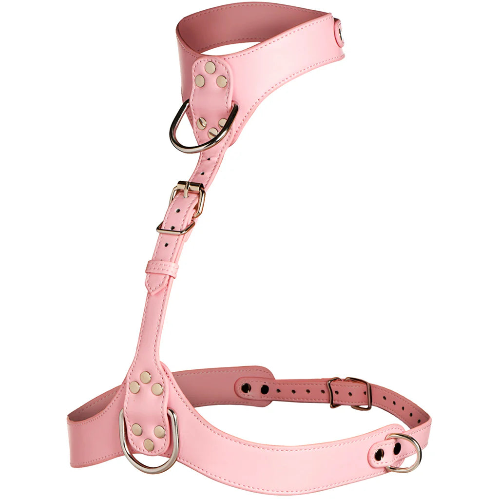 Master Series Vixen Chest Harness in Pink